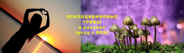ГАЛЛЮЦИНОГЕННЫЕ ГРИБЫ Абаза
