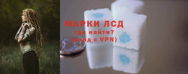 ГАЛЛЮЦИНОГЕННЫЕ ГРИБЫ Абаза