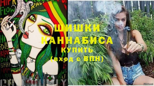 ГАЛЛЮЦИНОГЕННЫЕ ГРИБЫ Абаза