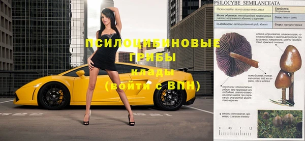 ГАЛЛЮЦИНОГЕННЫЕ ГРИБЫ Абаза