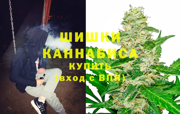 крисы Анива