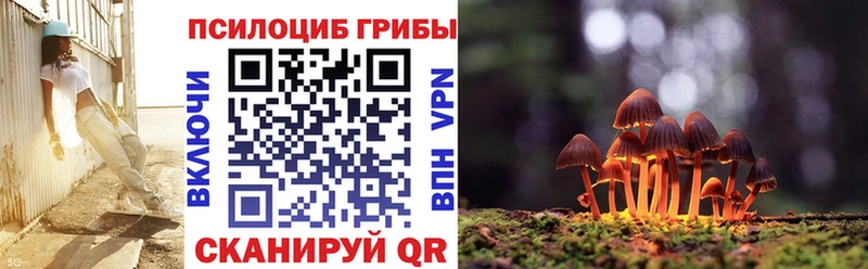 Галлюциногенные грибы прущие грибы гидра tor Лосино-Петровский